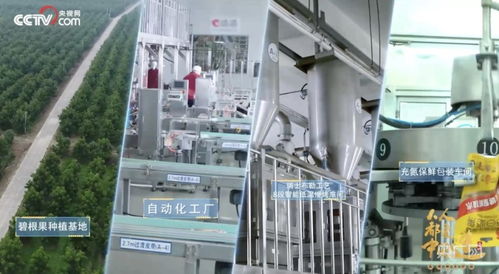 洽洽食品 把控品質從全產(chǎn)業(yè)鏈著手